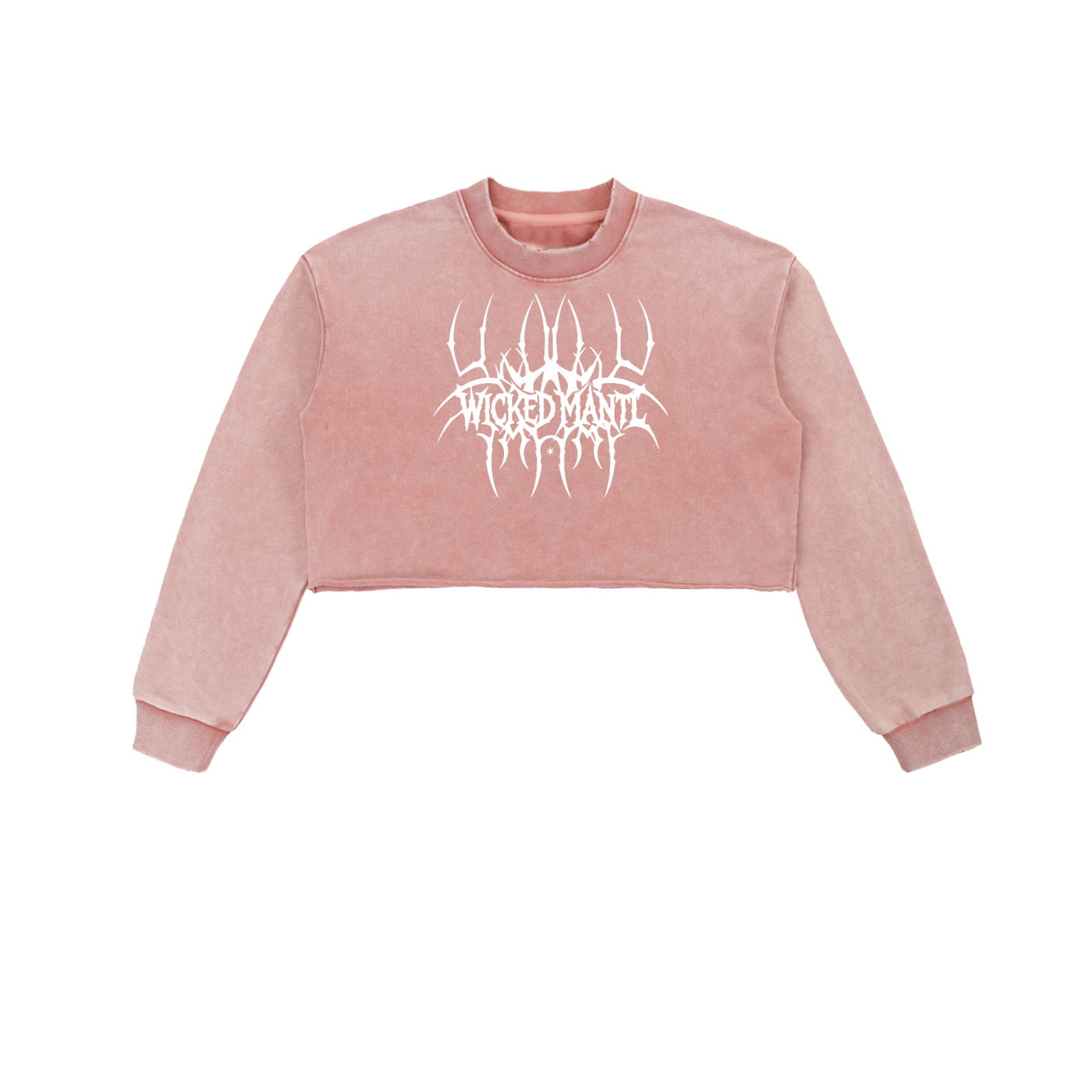 Raw Edge Cropped Sweatshirt