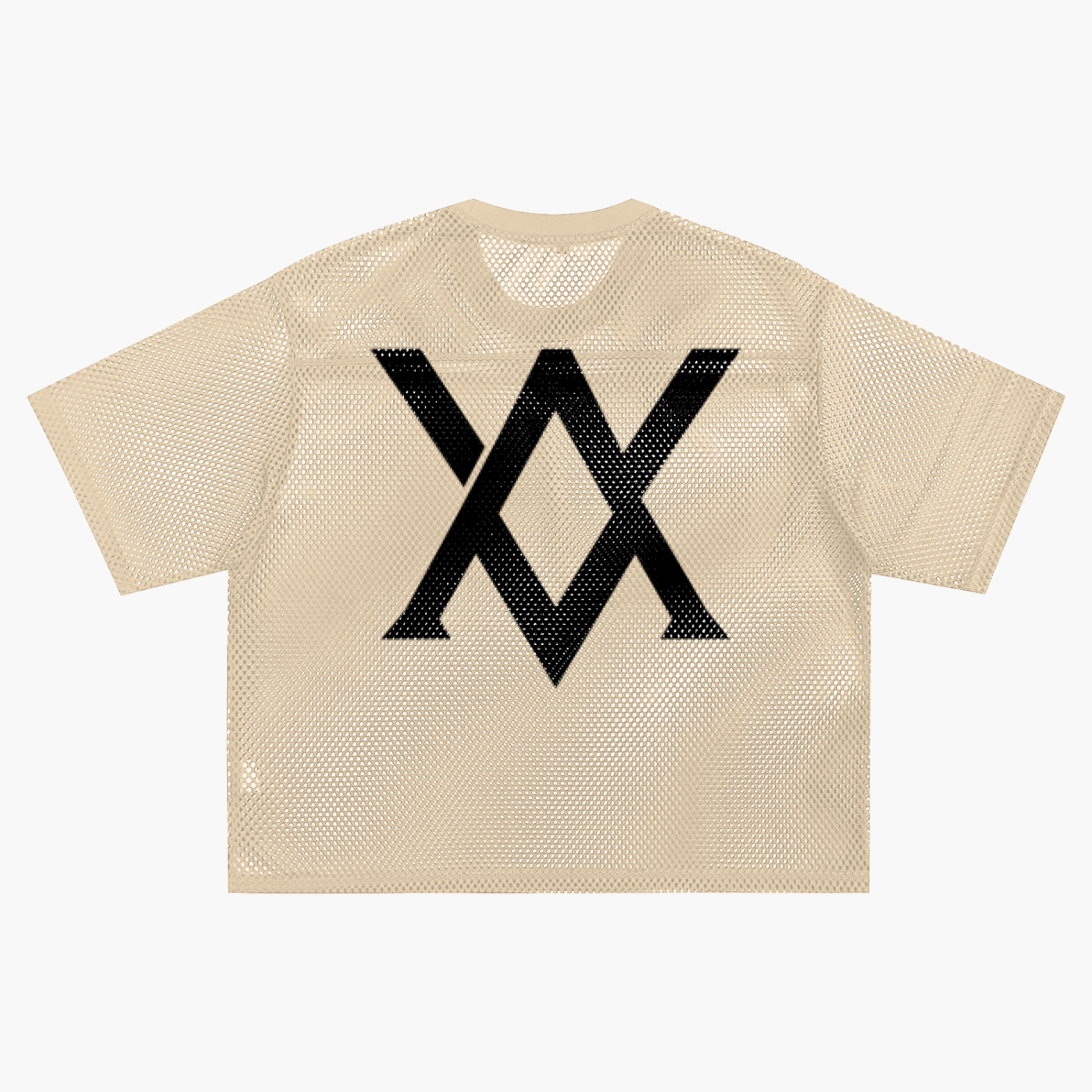 Boxy See-through Net Shirt