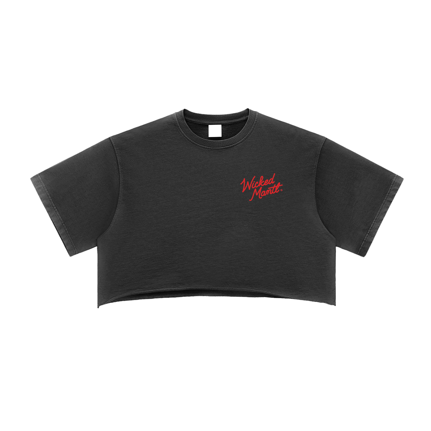 Snow Washed Raw Edge Crop Top